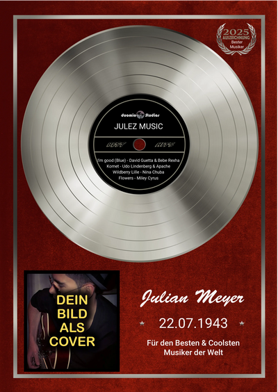 Schallplatte Musik - Platin